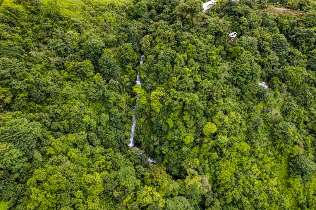 21.3-Acre Waterfall Farm Sanctuary in Costa Rica’s Southern Zone selected