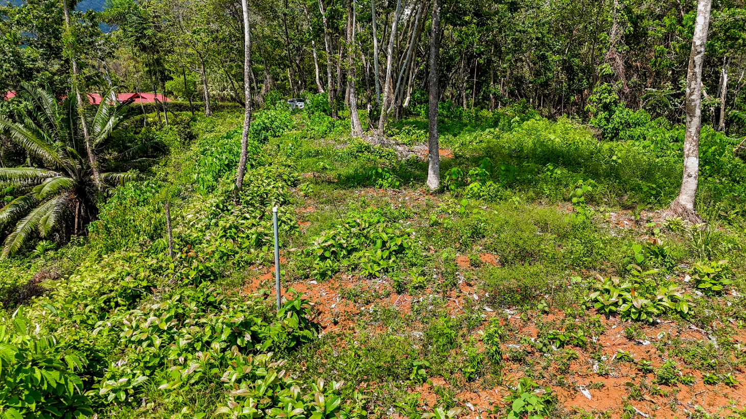 5.75 Acre Land for Sale in Ojochal | Ocean View Development Property selected