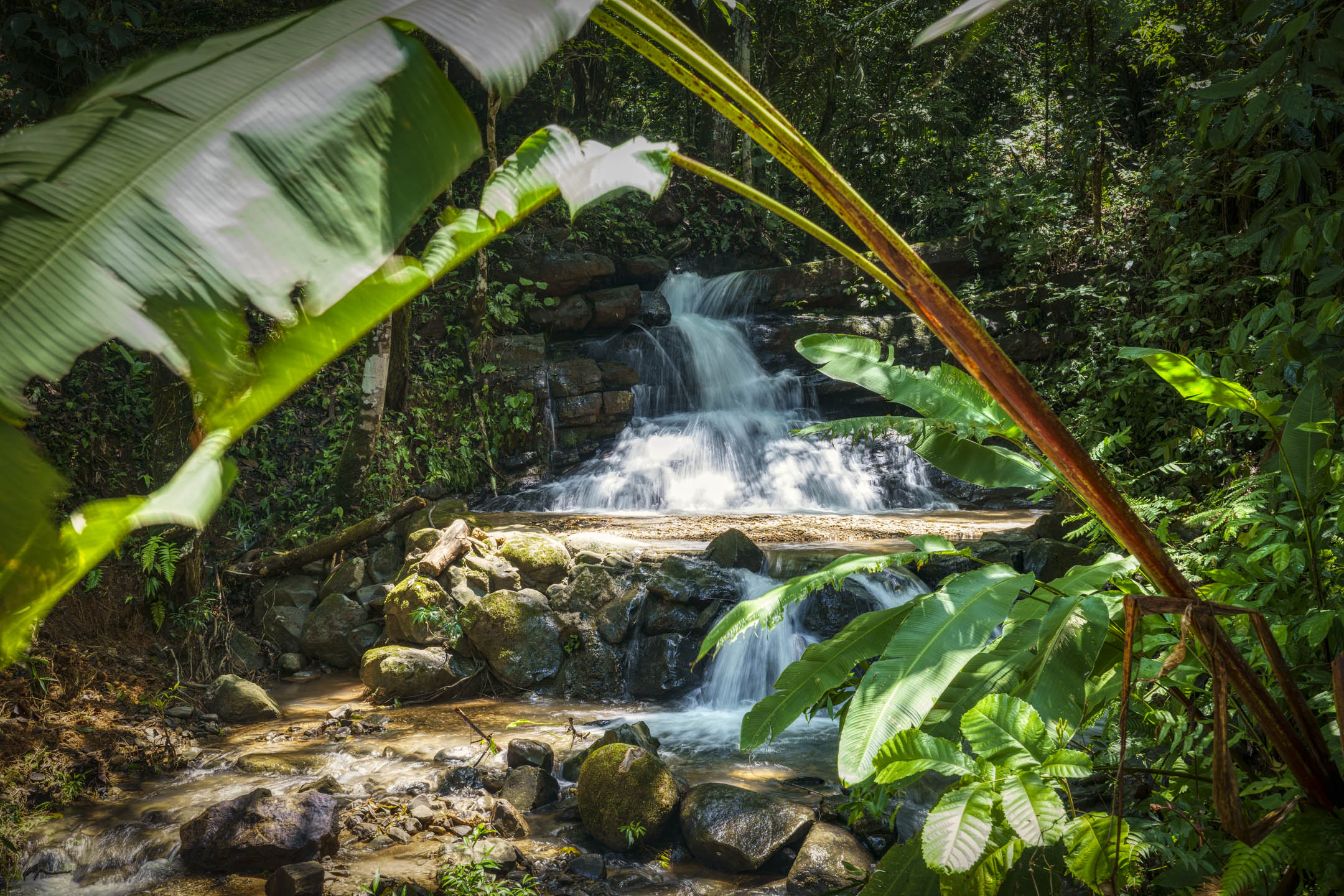 26 Acres With Ocean, Mountain & Waterfall View In Platanillo selected