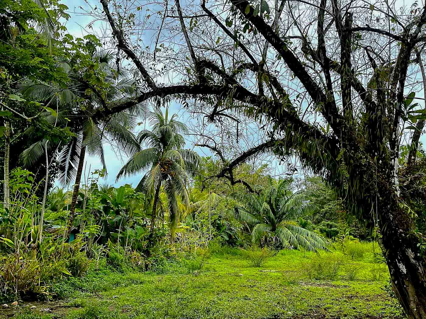 Rare Titled Beachside Development Opportunity Steps from Playa Chaman selected