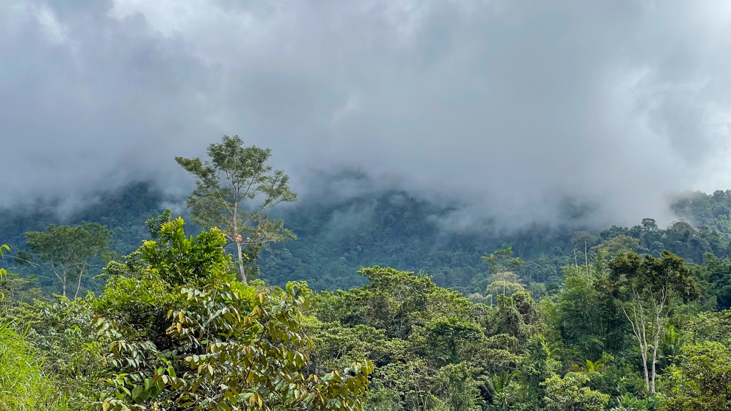 Secluded 4.5-Hectare Riverfront Oasis Near Hatillo & Dominical – Dos Bocas, Costa Rica selected