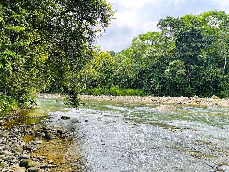 Prime 10+ Acre Development Opportunity in Uvita selected