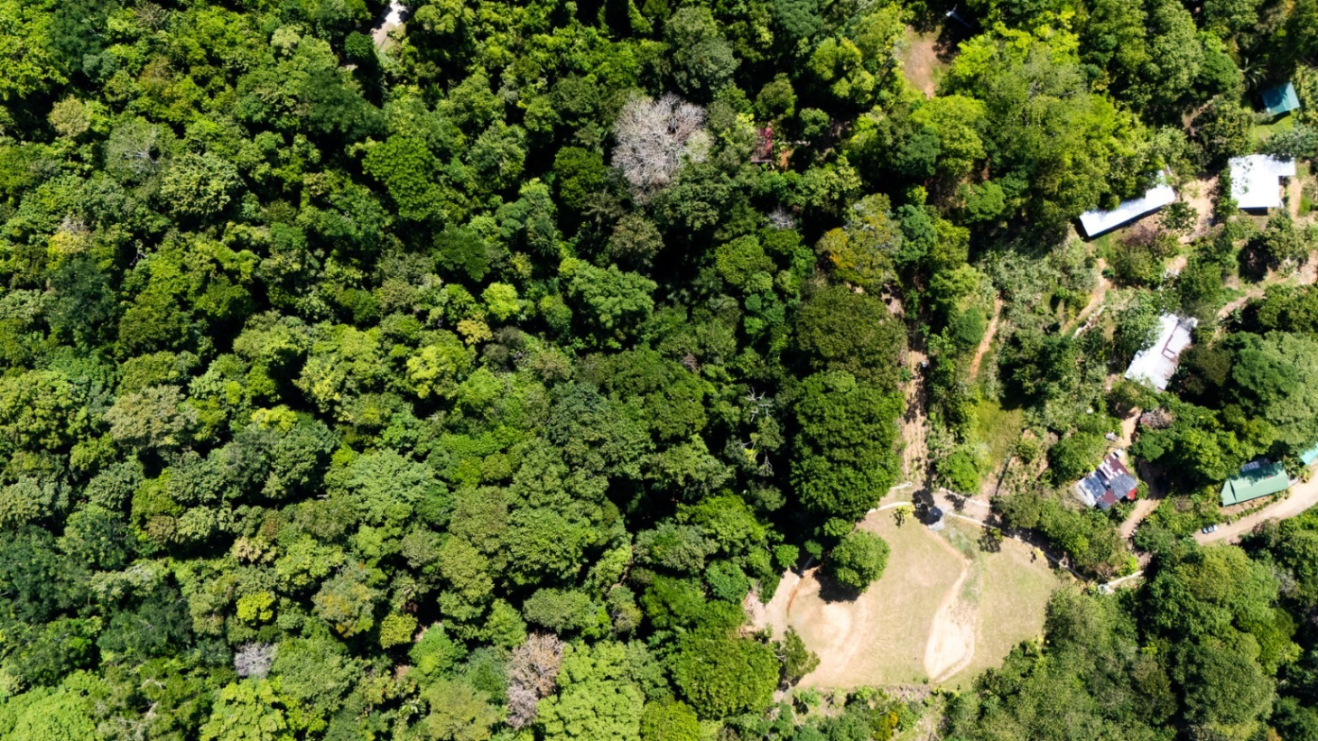 Tropical Sanctuary Above Uvita: 5-Acre Jungle Estate with incredible Mountain Views selected