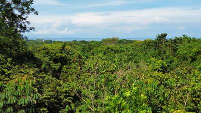 Spectacular Ocean View Lot in Ojochal (Calle Tucan) image 1