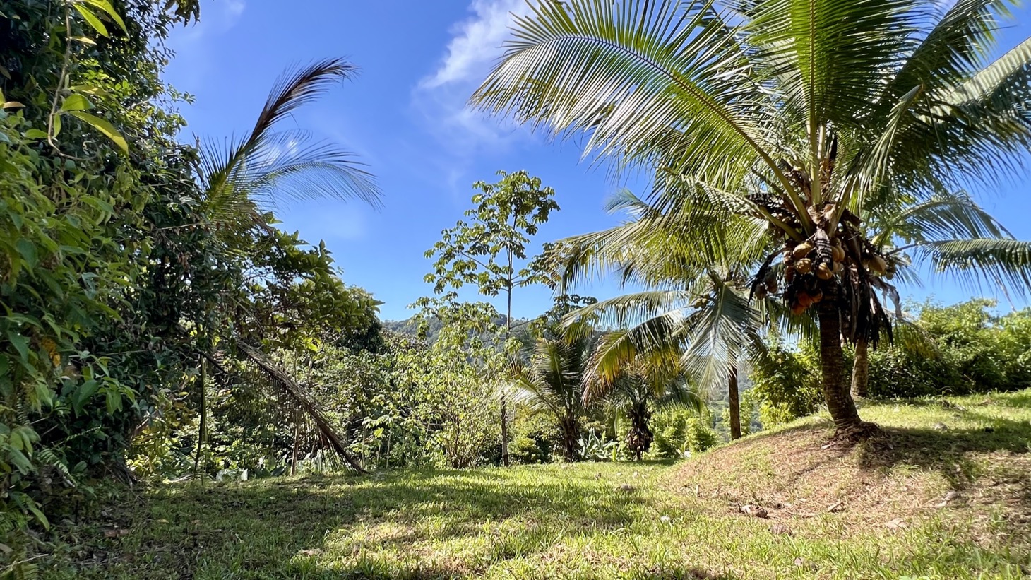 Exceptional Large Multi-Building Site Lot in Tres Ríos selected