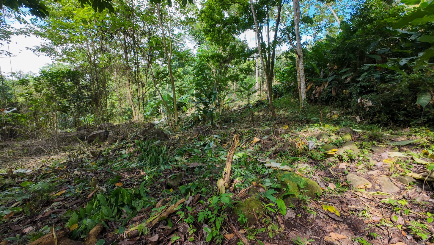 Riverfront Property for Sale in Ojochal, Costa Rica – Nearly 1 Hectare of Flat, Buildable Land selected