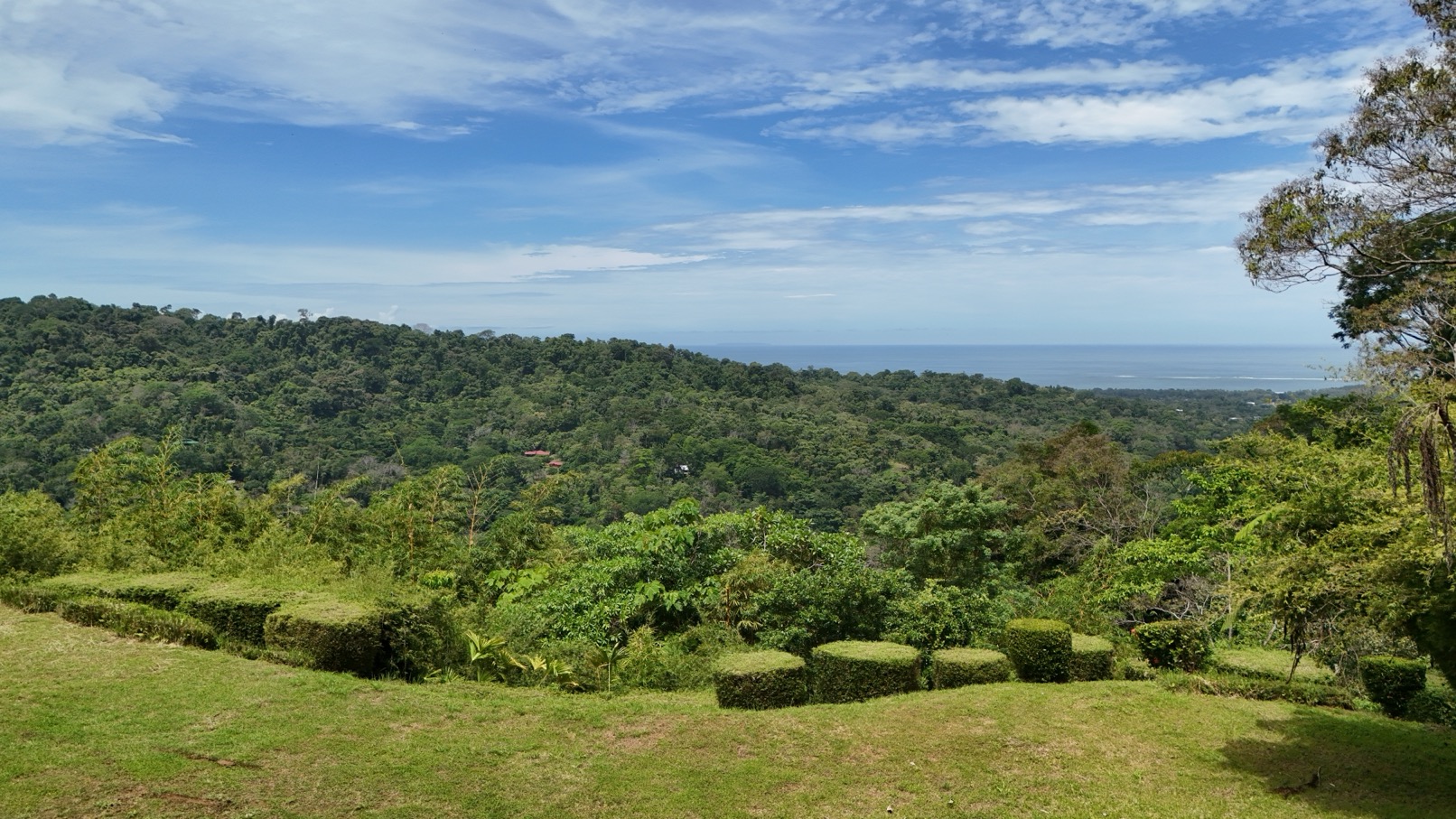 Expansive Oceanview Estate Lot in Uvita selected