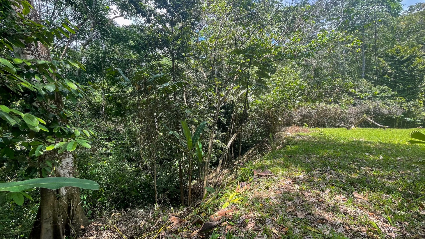 Land for Sale Near Ojochal, Costa Rica – Lot with Water & Electricity Near El Pavón Waterfall selected