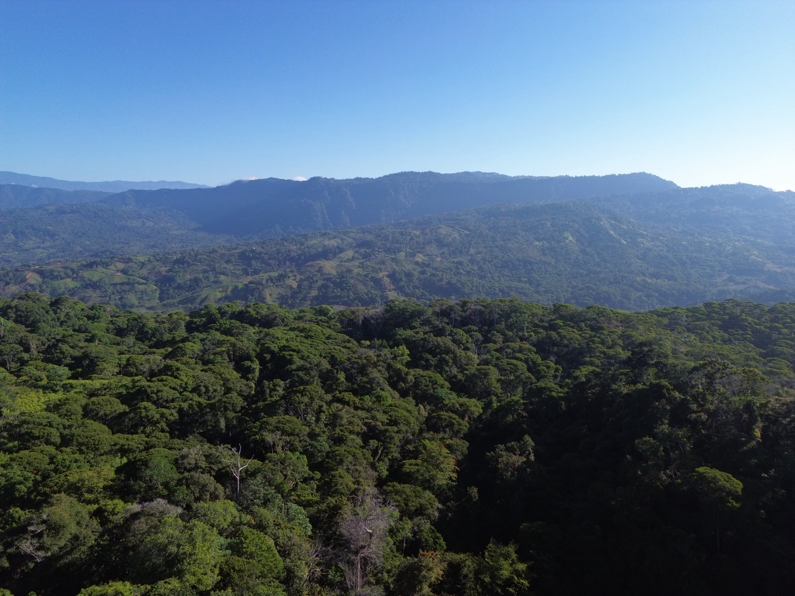 Expansive Escaleras Estate with Ocean Views, Jungle, and Development Potential selected