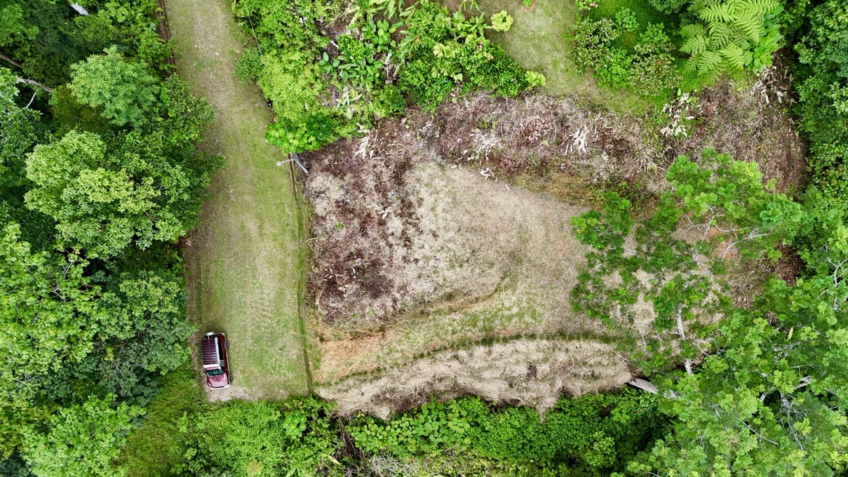 Affordable Jungle Lot in Gated Phase 9 Ojochal with Legal Water selected