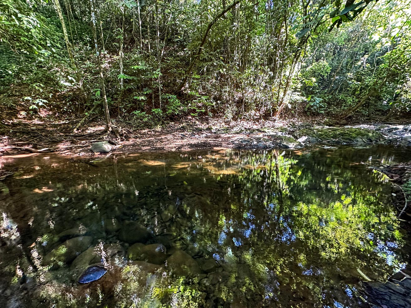 1-Bedroom Jungle River Retreat with Room to Build Your Dream Home in the Heart of Ojochal selected