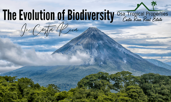 The Evolution Of Biodiversity In Costa Rica