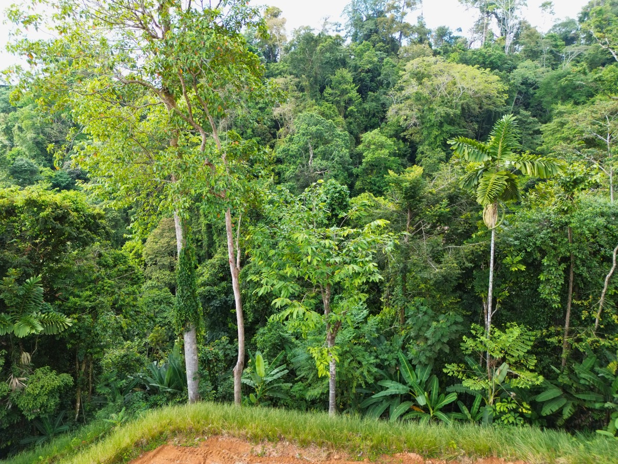 Private Ocean View Homesite Above Uvita – 1.73 Acres with Iconic Ballena Rock Views selected