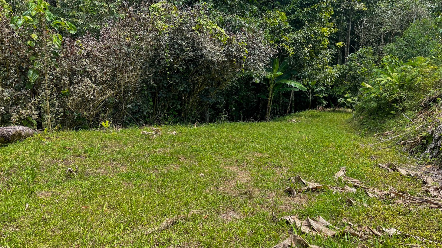 Land for Sale Near Ojochal, Costa Rica – Lot with Water & Electricity Near El Pavón Waterfall selected