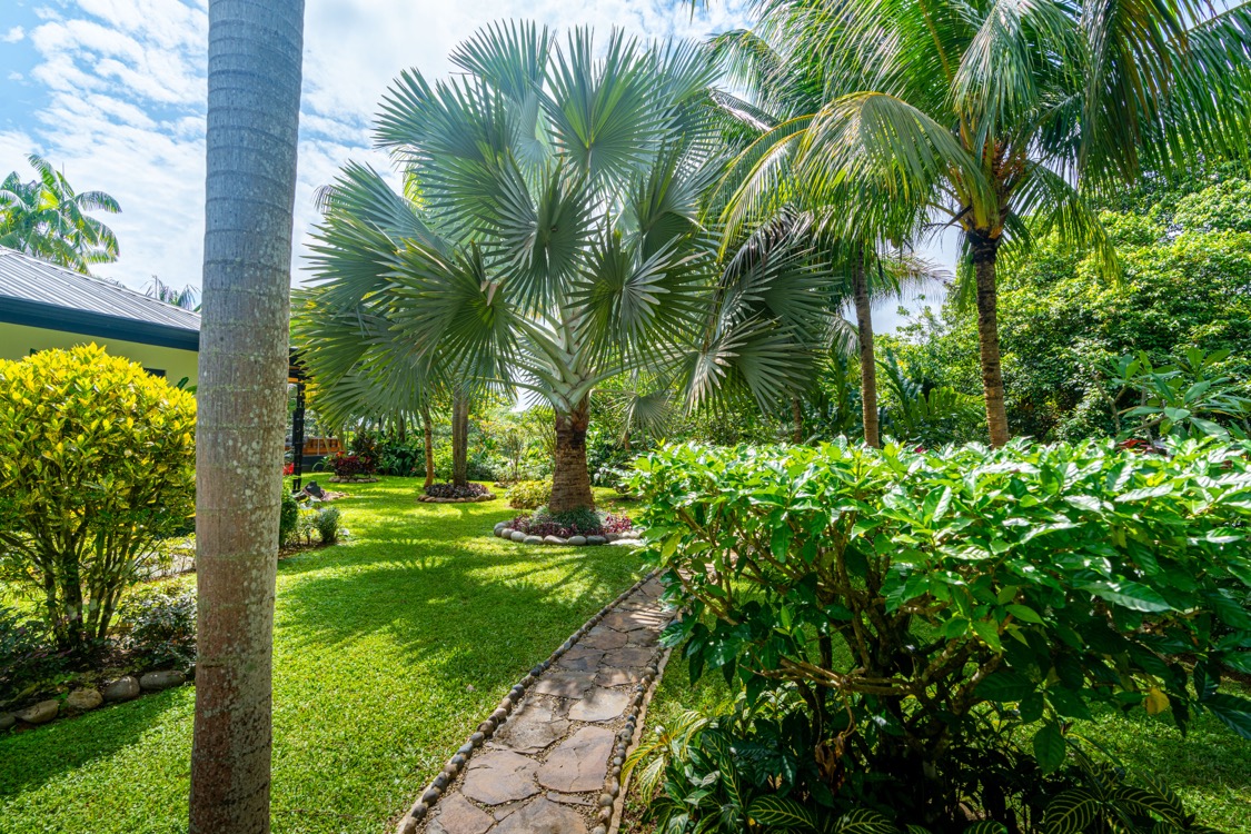 Private Jungle Retreat with Ocean Views & Off-Grid Luxury selected