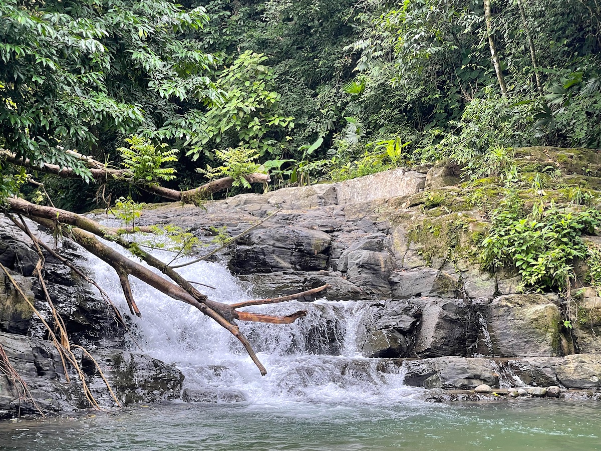 Rare 25+ Acre Opportunity in Uvita selected