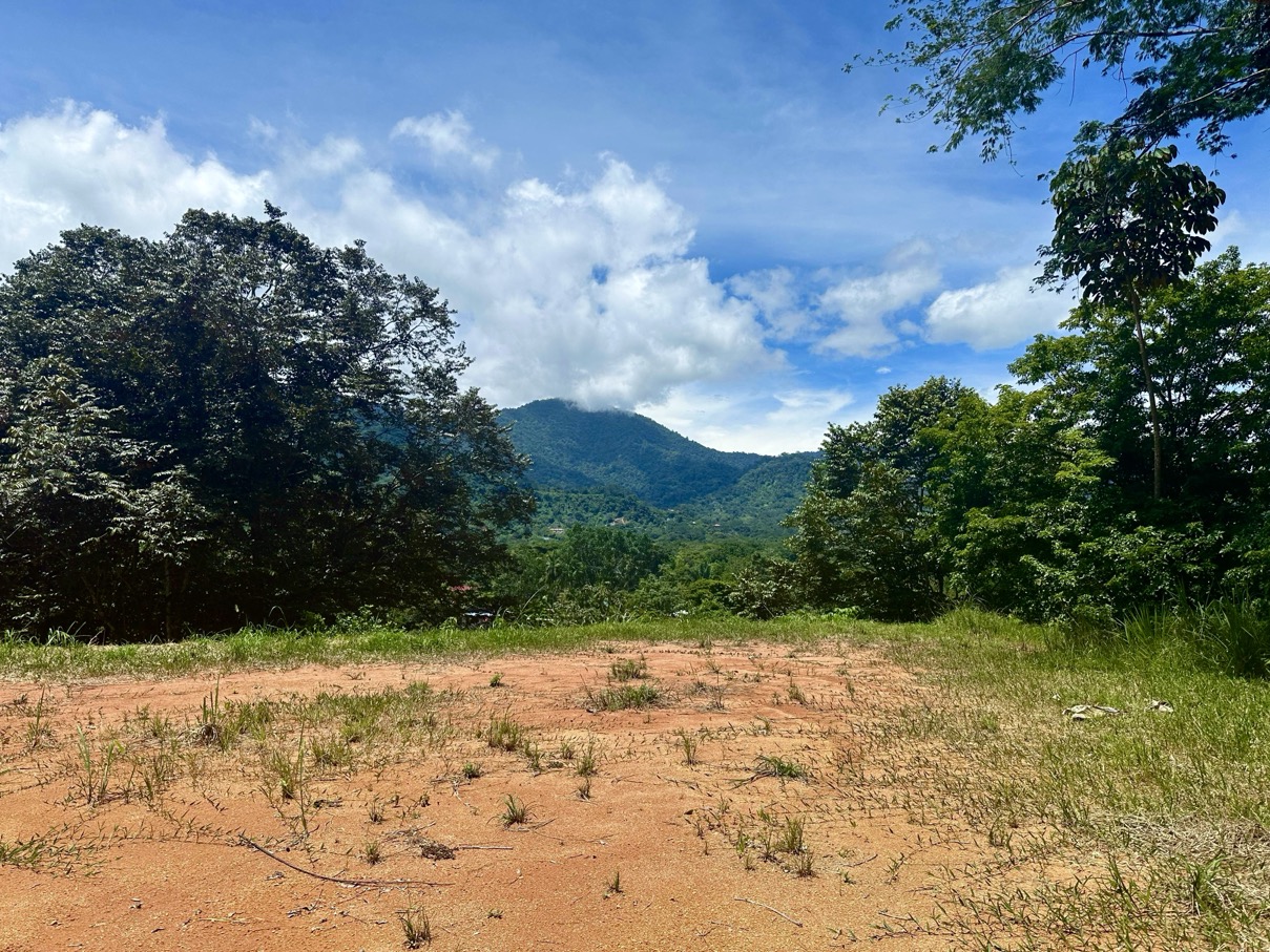 Build-Ready Lot with Mountain Views and Easy Access in Ojochal selected