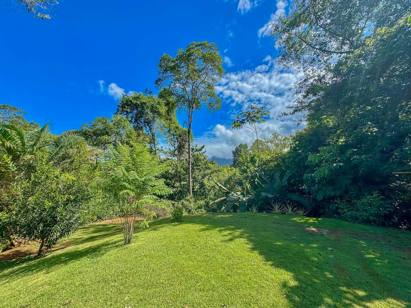 1-Bedroom Jungle River Retreat with Room to Build Your Dream Home in the Heart of Ojochal selected