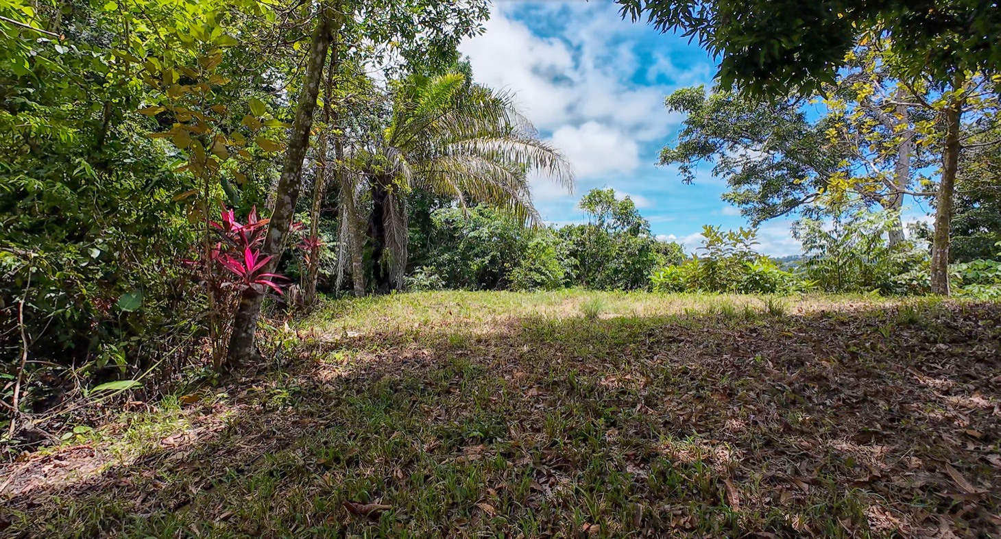 Stunning 16 acre Ocean View Property San Buenas, Costa Rica  selected