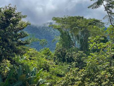 Your Private Mountain Sanctuary Awaits image 5