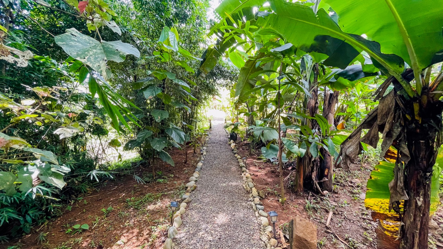 Tropical Retreat in Ojochal with Ocean Views, Private Waterfall & Expansion Potential selected