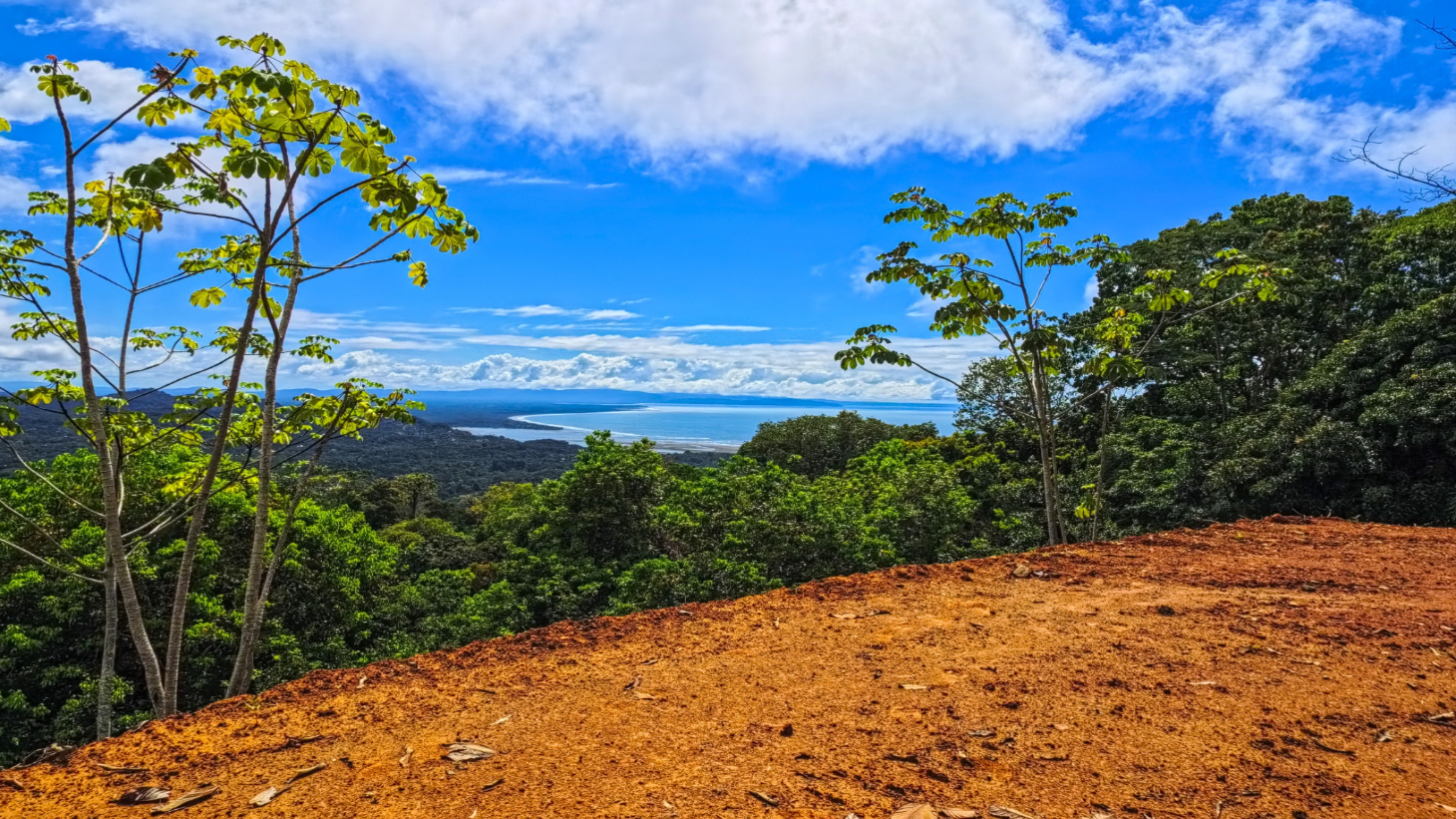 Expansive Ocean View Lot for Sale in Cinco Ventanas, Ojochal selected