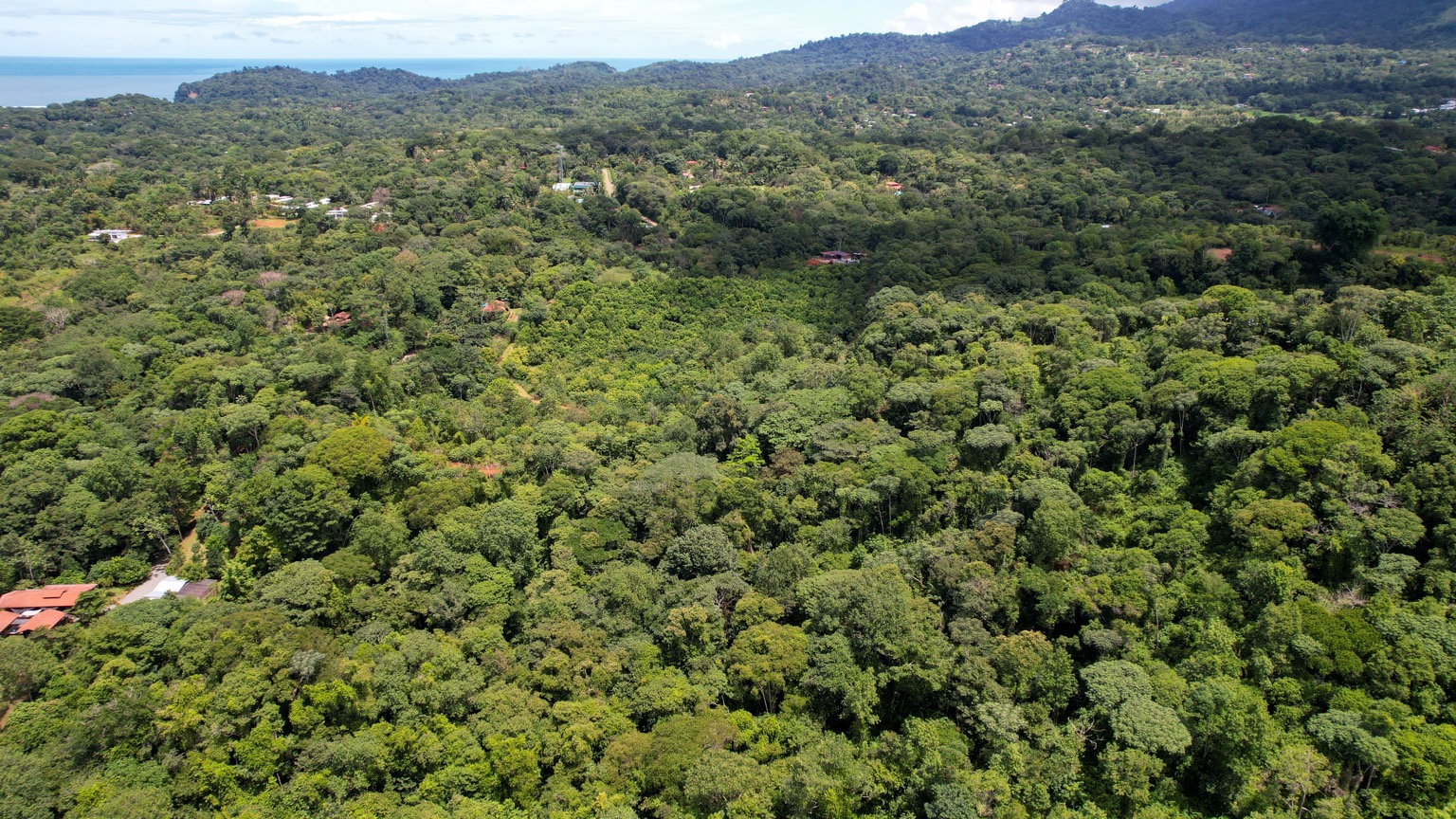 Premium 9.3-Hectare Farm for Sale in Ojochal, Costa Rica selected