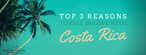 Our Top Three Reasons For You to Move to Costa Rica