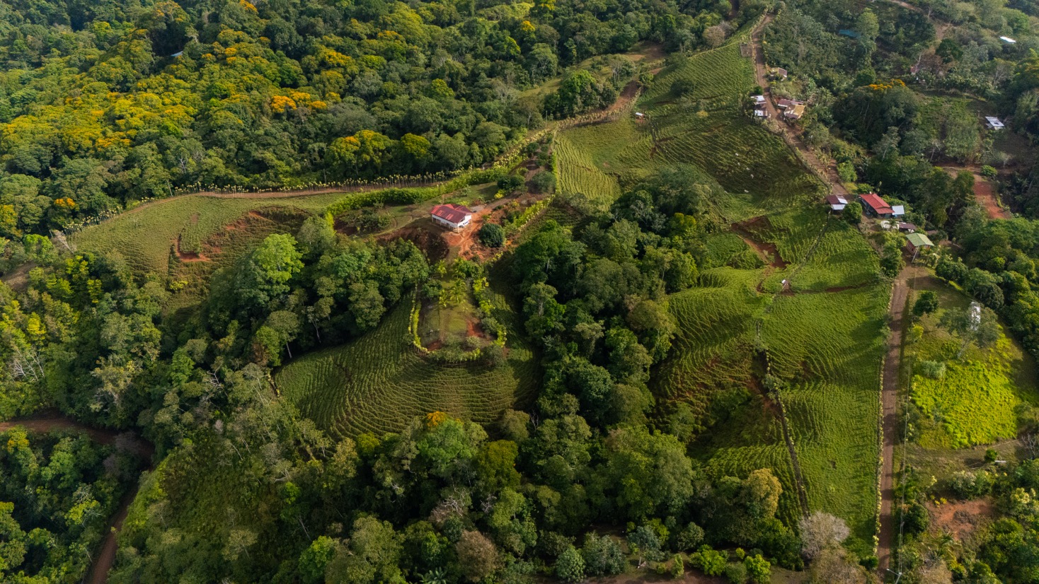 Ocean View Development Property with Waterfall Vista — 14.83 Acres in San Luis de Morete, Near Uvita selected