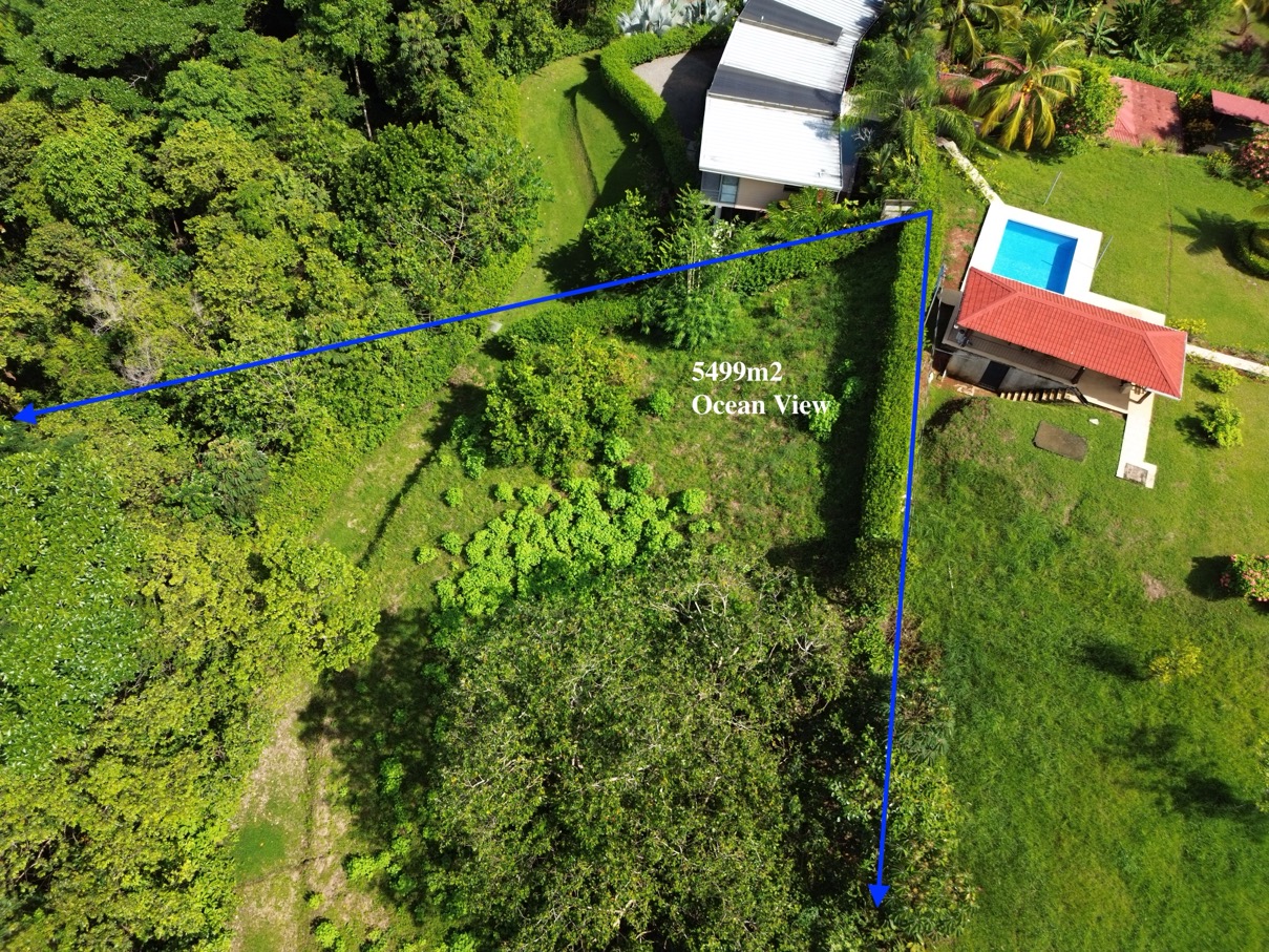 Spectacular Ocean View Lot in Ojochal (Calle Tucan) selected
