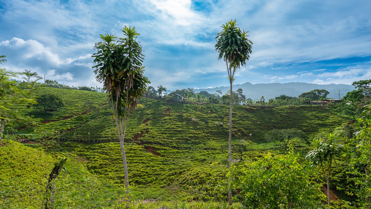 Ocean View Development Property with Waterfall Vista — 14.83 Acres in San Luis de Morete, Near Uvita selected
