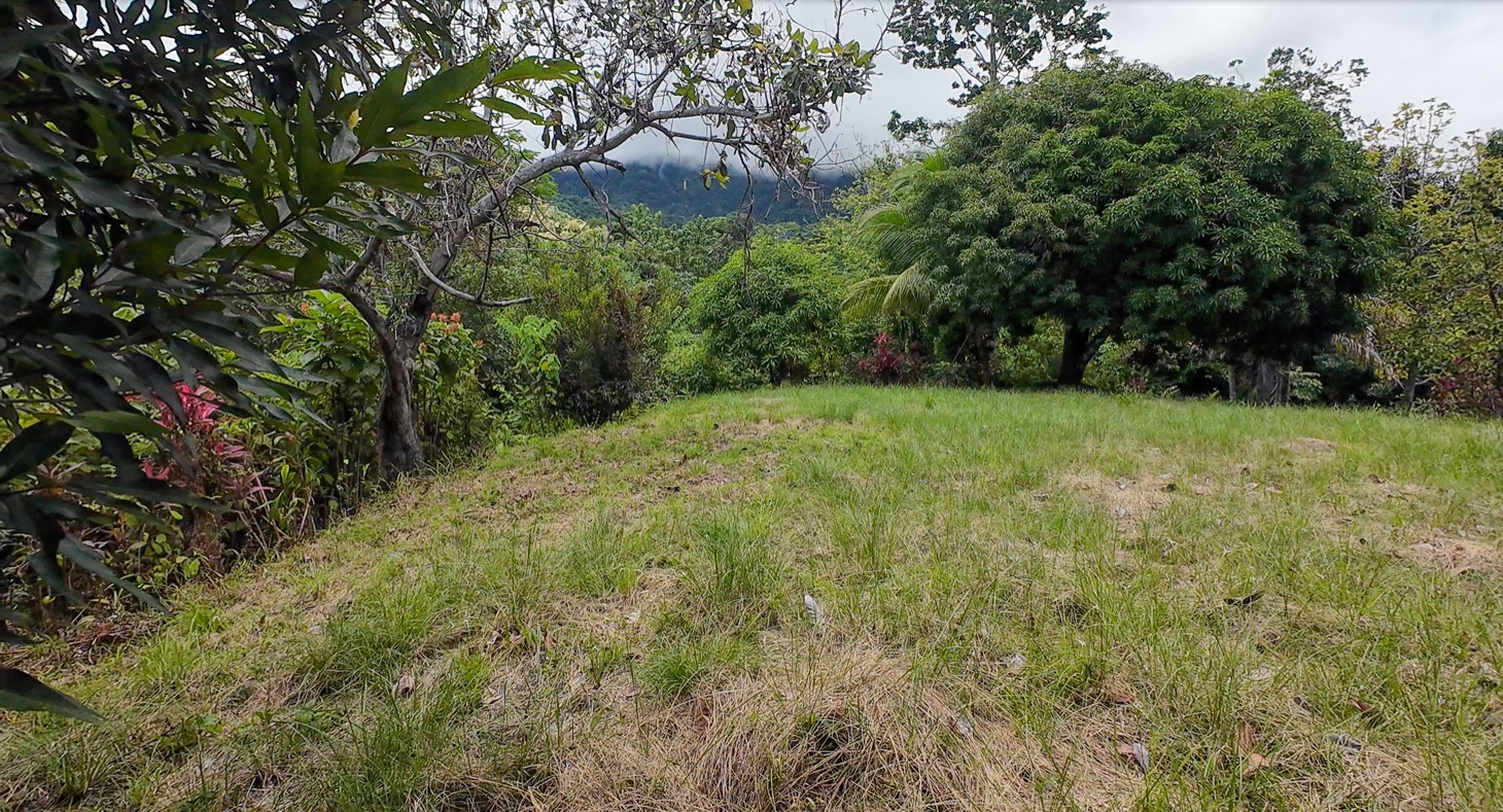 Stunning 16 acre Ocean View Property San Buenas, Costa Rica  selected