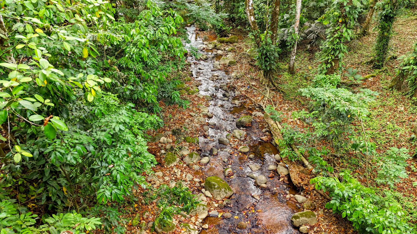 3-Bed Home on Calle Principal Ojochal with River & Jungle selected