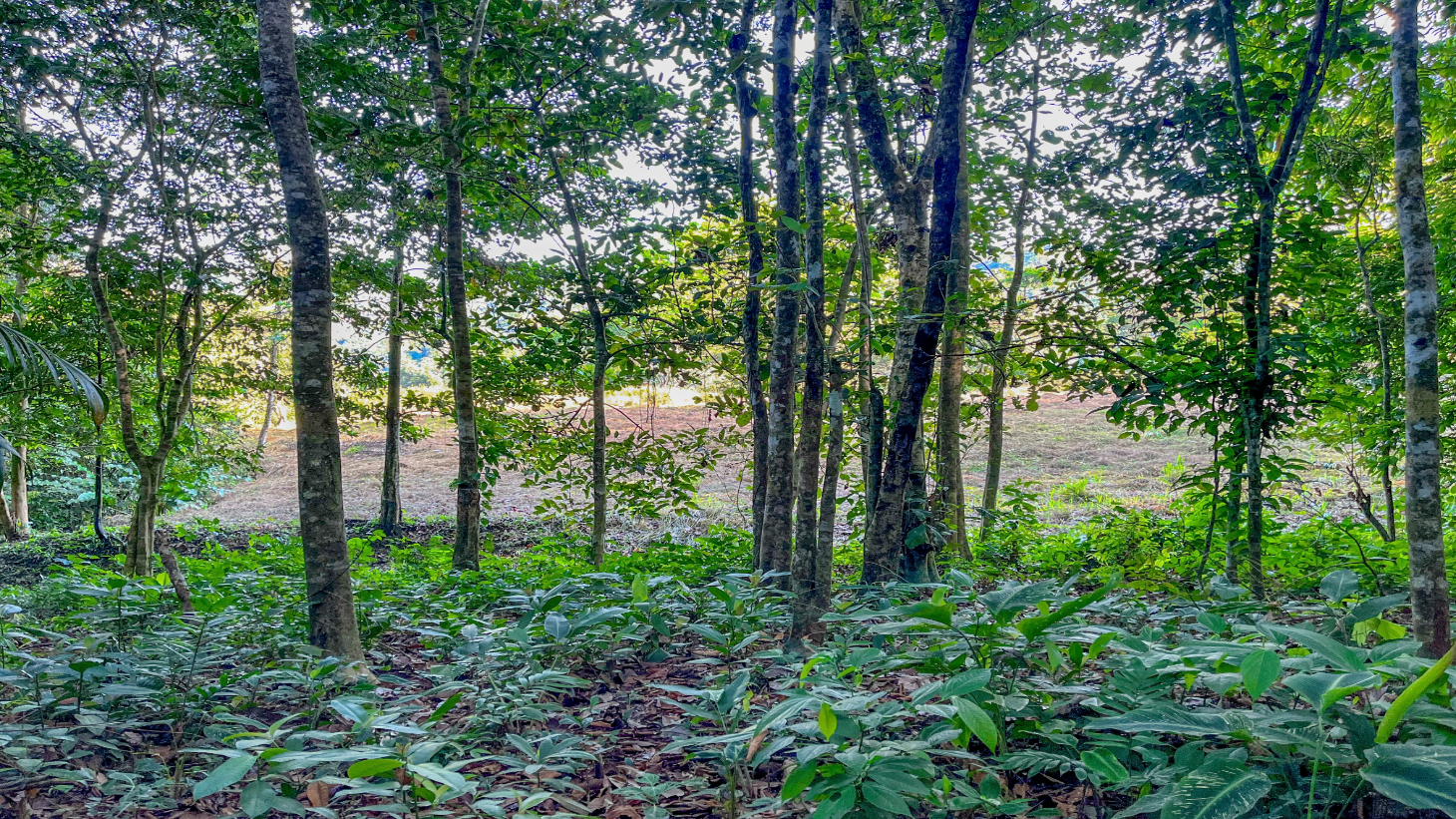 Stunning Mountain & Valley Views in Pura Vida Falls – Prime Property Ready to Build  selected