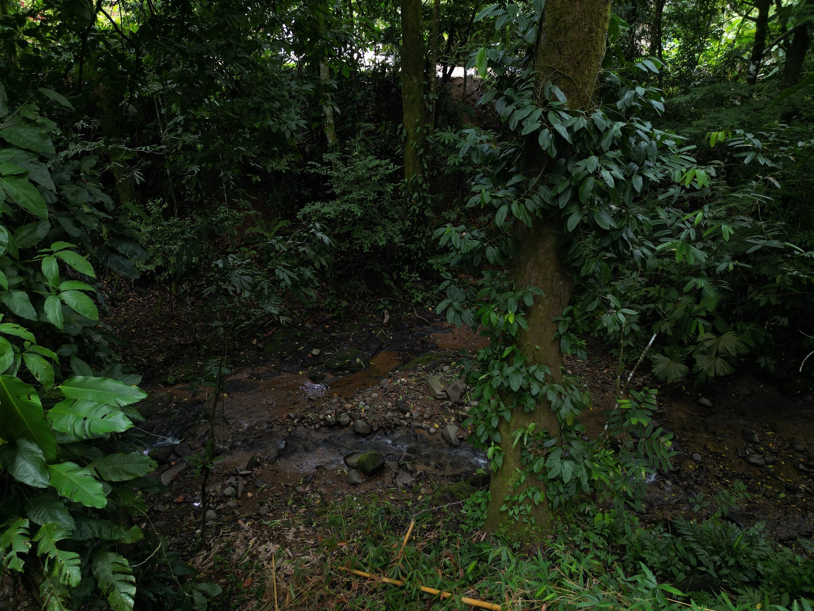 Turnkey Riverside Retreat in Ojochal selected