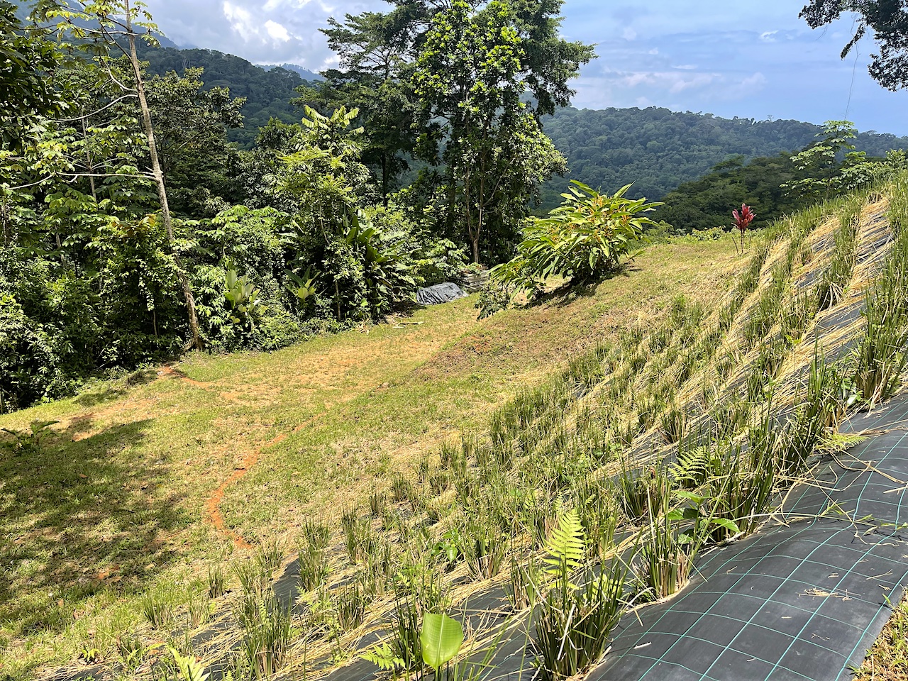 Rare 25+ Acre Opportunity in Uvita selected