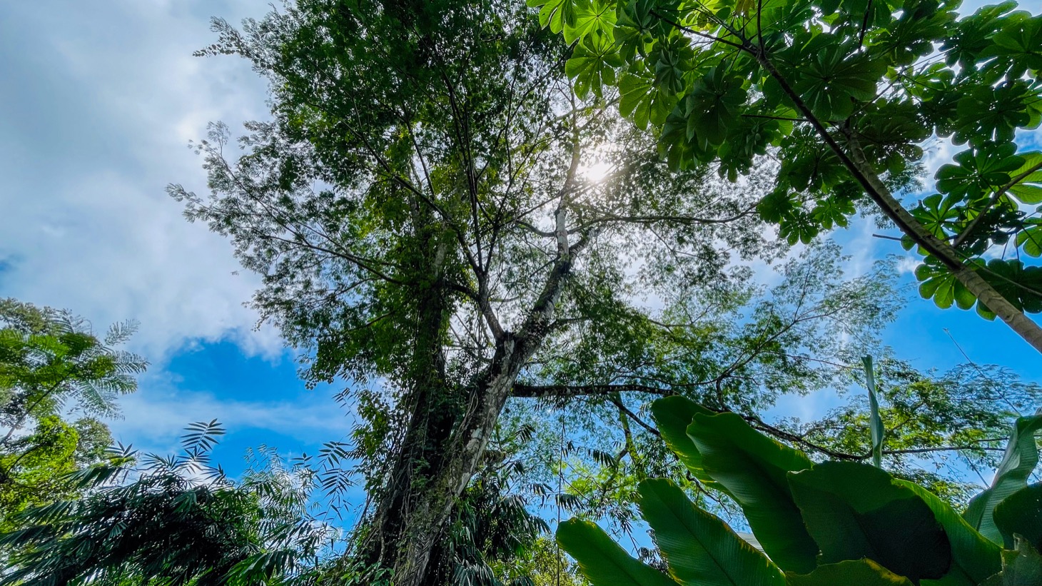 Tropical Retreat in Ojochal with Ocean Views, Private Waterfall & Expansion Potential selected