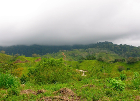 Exclusive Two-Lot Oasis in Gated Paradise – Build Your Dream Estate selected