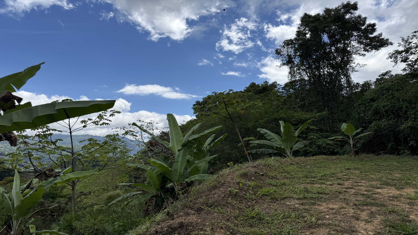 Jungle Lot with 3+ Building Sites, Legal Water, Electricity on Public Road with Big Valley & Mountain Views near San Josecito Costa Rica selected