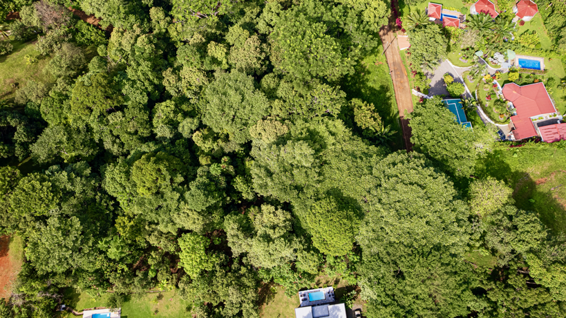 Exceptional Residential or Commercial Potential Property in Ojochal selected