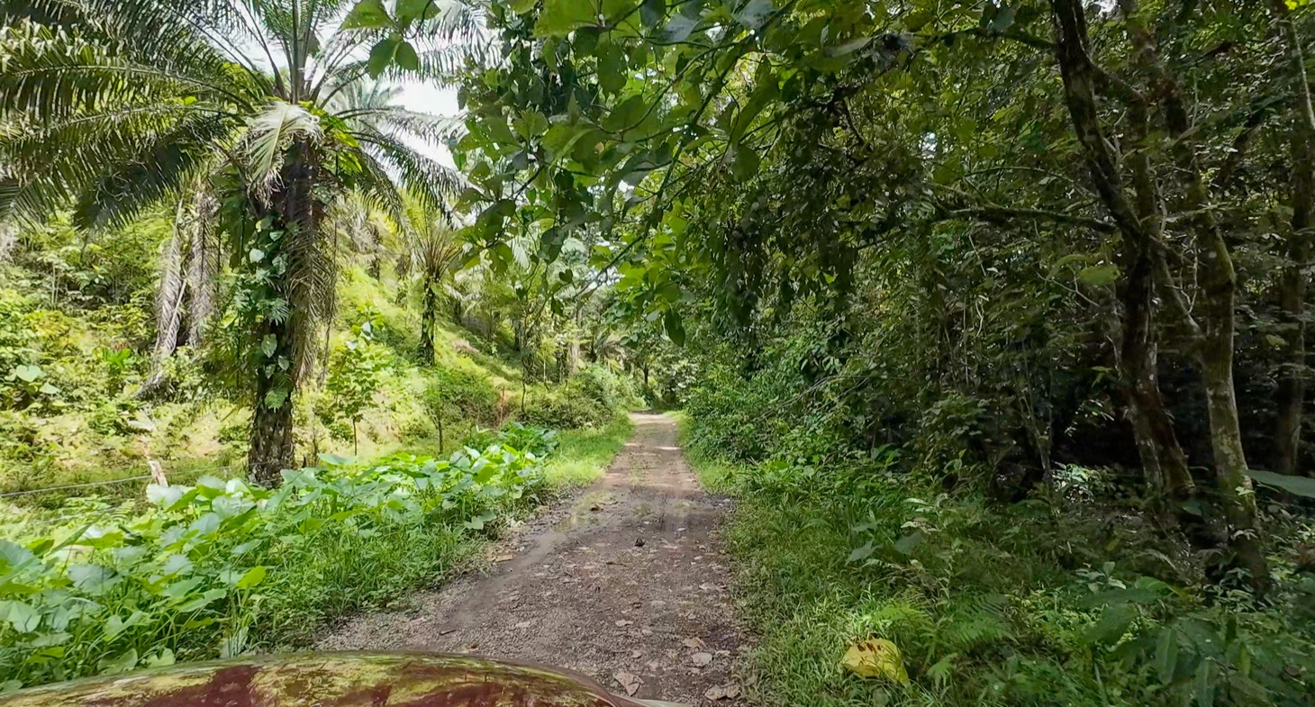 Stunning 16 acre Ocean View Property San Buenas, Costa Rica  selected