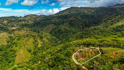 1.5 Acre Ocean & Mountain View Lot Near Uvita | Legal Water & Privacy image 3
