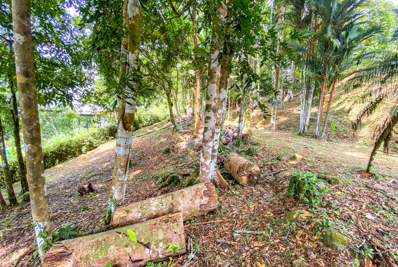 Large Uvita Lot with Whale’s Tail Ocean Views, Sunsets & Legal Water – Ready to Build selected