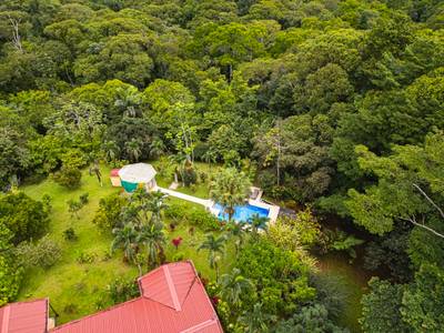 Serene Costa Rican Jungle Retreat with Waterfalls & Wildlife image 2