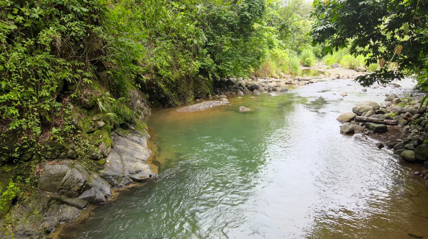 Contemporary Jungle Retreat in Tres Rios, Costa Rica selected