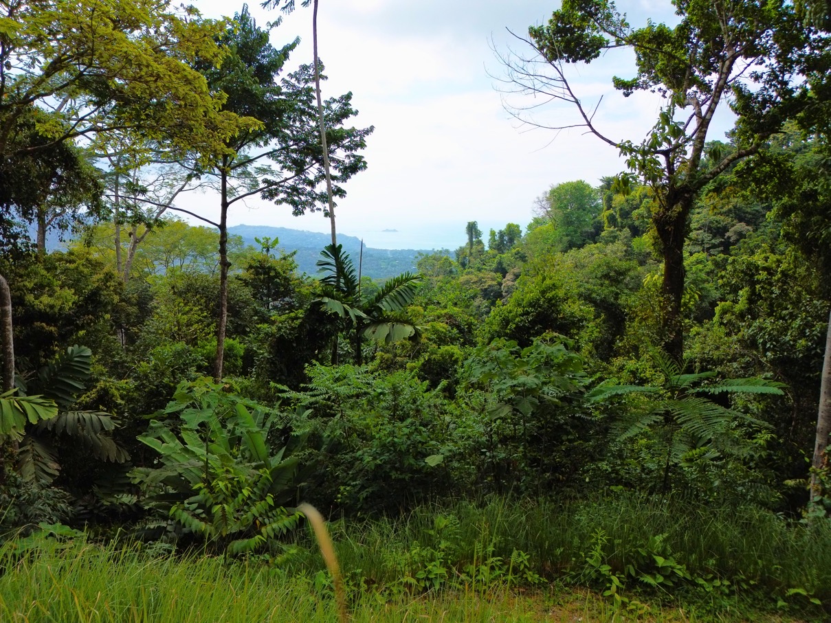 Private Ocean View Homesite Above Uvita – 1.73 Acres with Iconic Ballena Rock Views selected