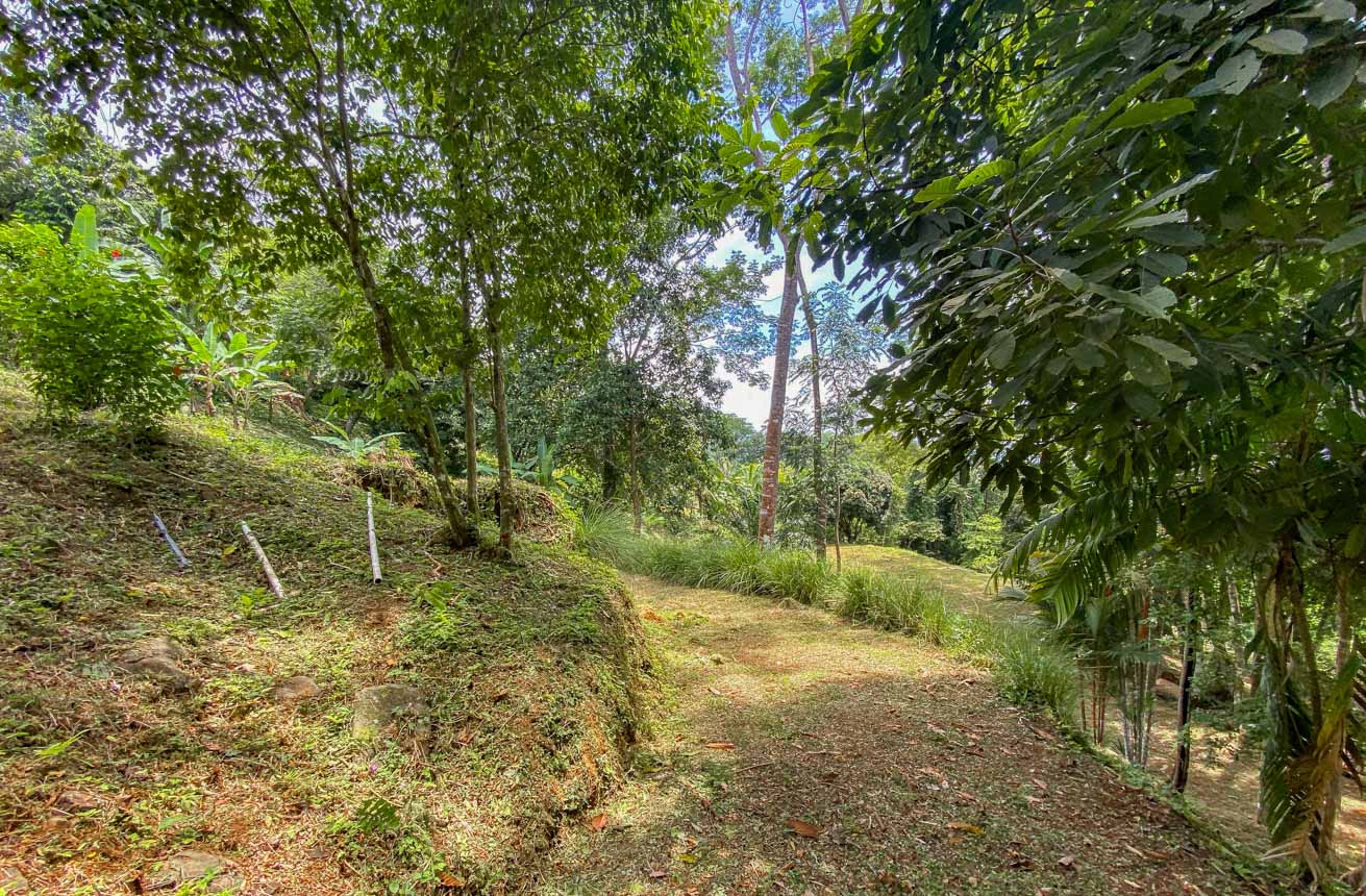 Large Uvita Lot with Whale’s Tail Ocean Views, Sunsets & Legal Water – Ready to Build selected