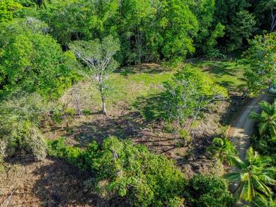 Ocean View Riverfront Acreage in Marina Vesta with Prime Building Site image 4