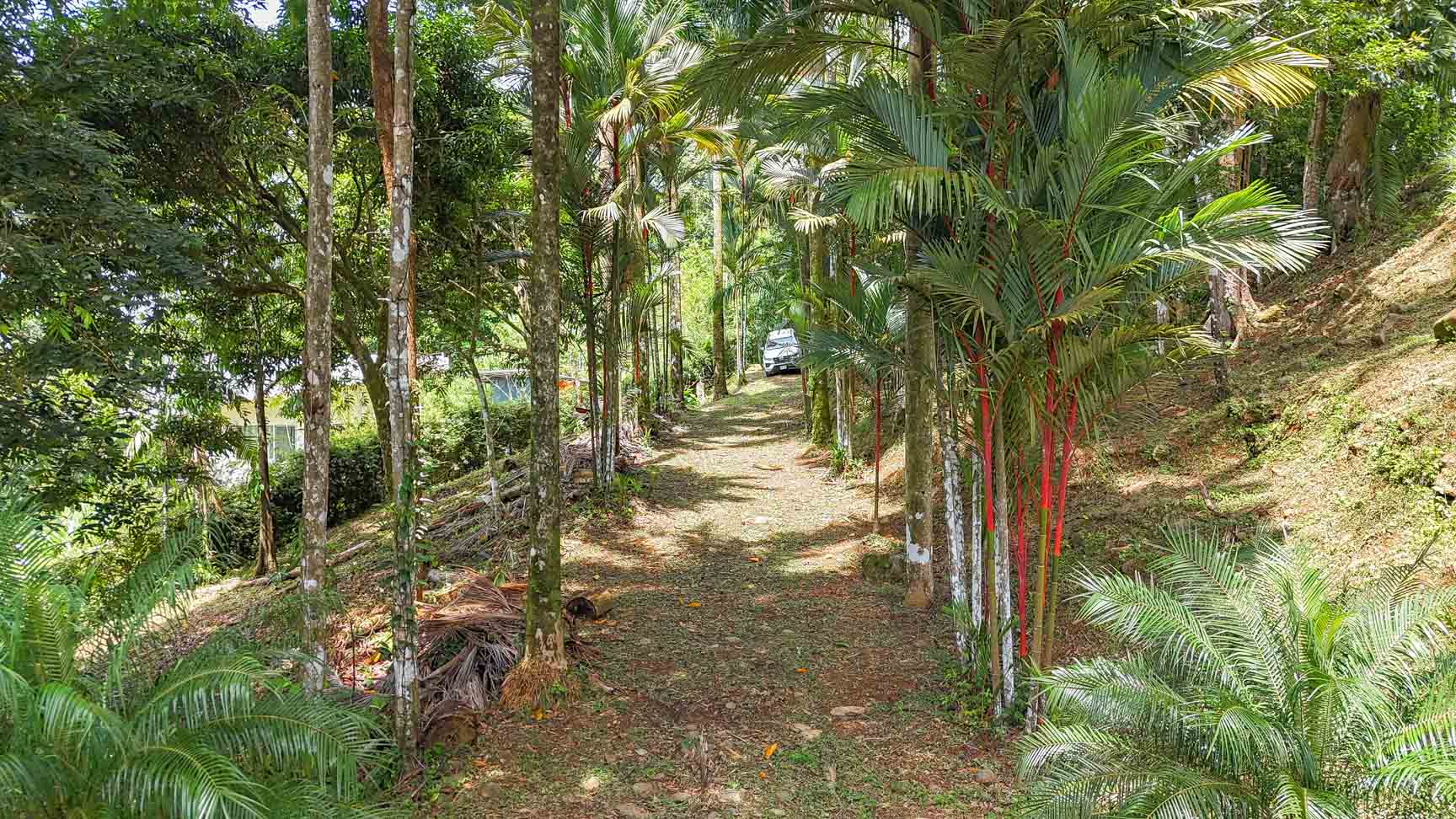 Large Uvita Lot with Whale’s Tail Ocean Views, Sunsets & Legal Water – Ready to Build selected