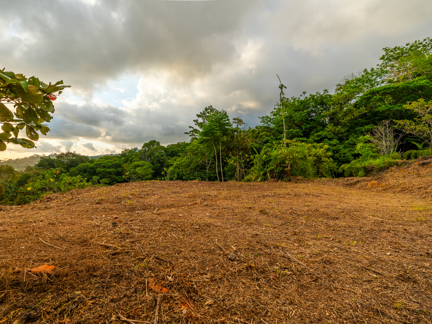 Ocean & Sunset View Lot for Sale in Ojochal, Costa Rica selected